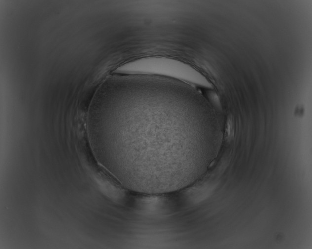 X0000091510237200708311234