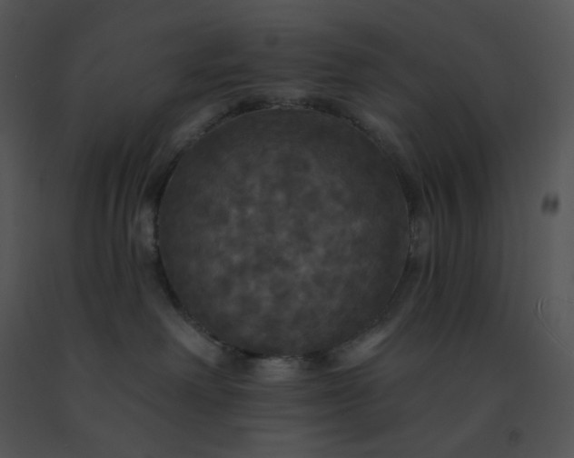 X0000091510238200708311234