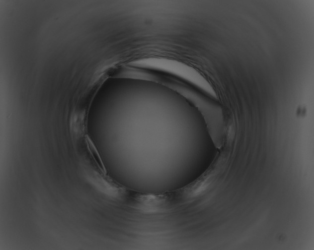 X0000091510239200708311234