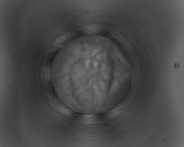 X0000091510240200708311234