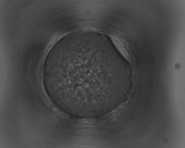 X0000091510241200708311233