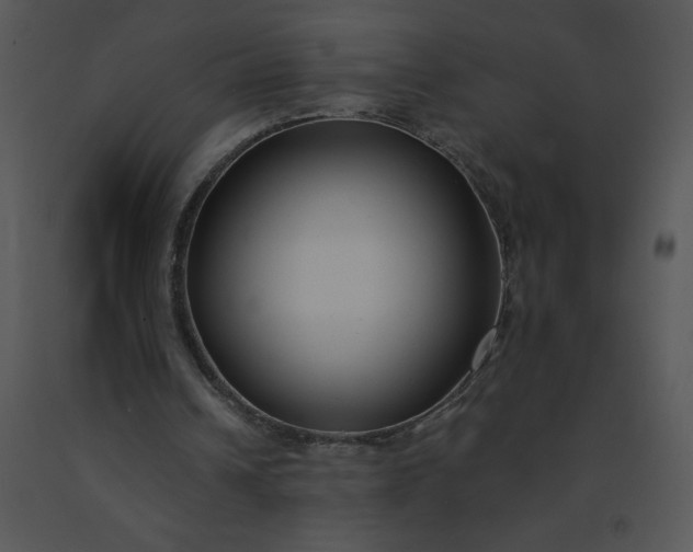 X0000091510242200708311233