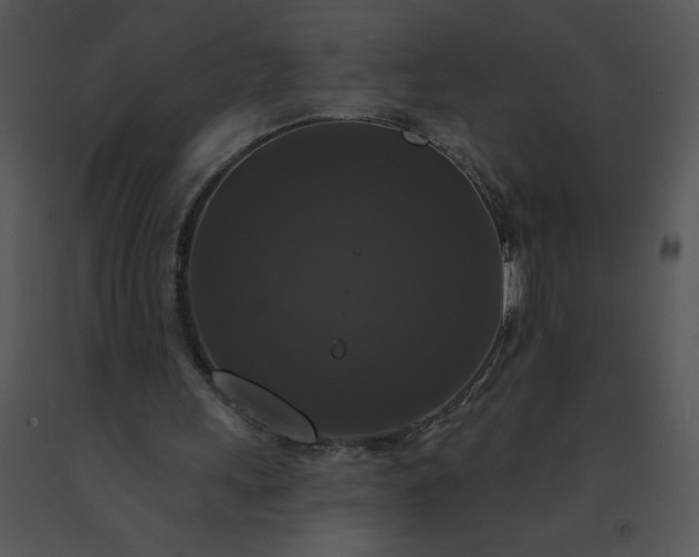 X0000091510243200708311233