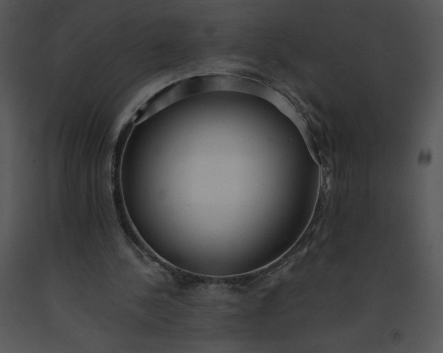 X0000091510244200708311233