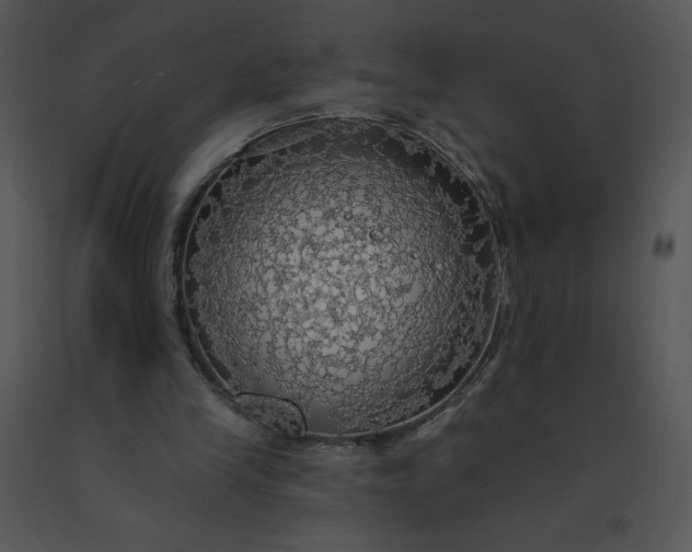 X0000091510245200708311233