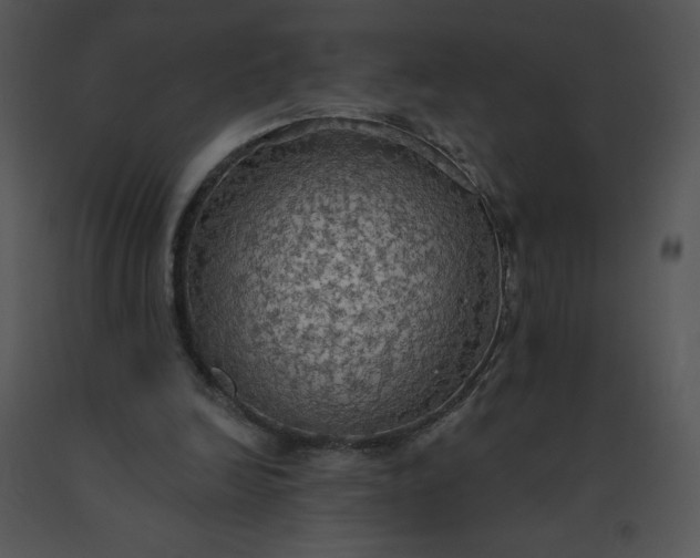 X0000091510246200708311233