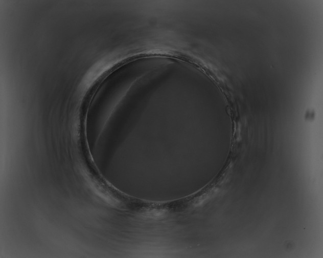 X0000091510247200708311233