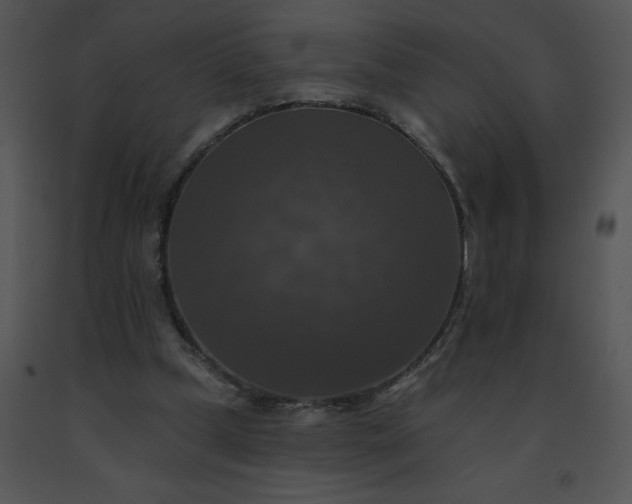 X0000091510249200708311233