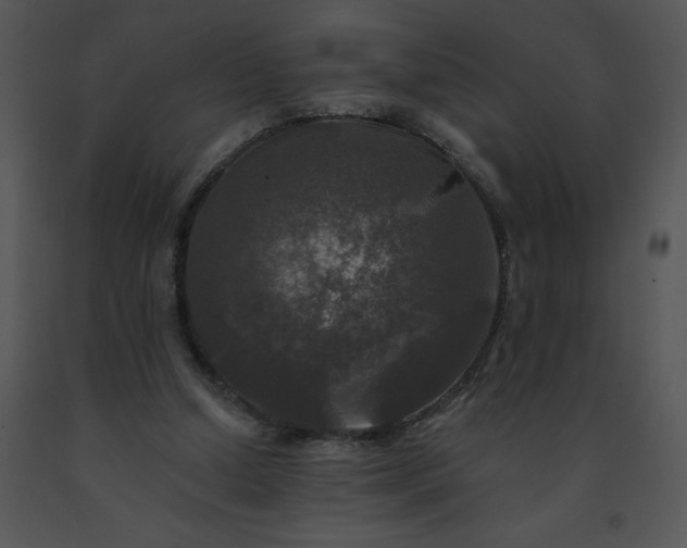 X0000091510250200708311233