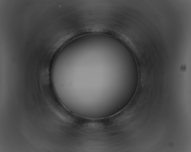 X0000091510251200708311233