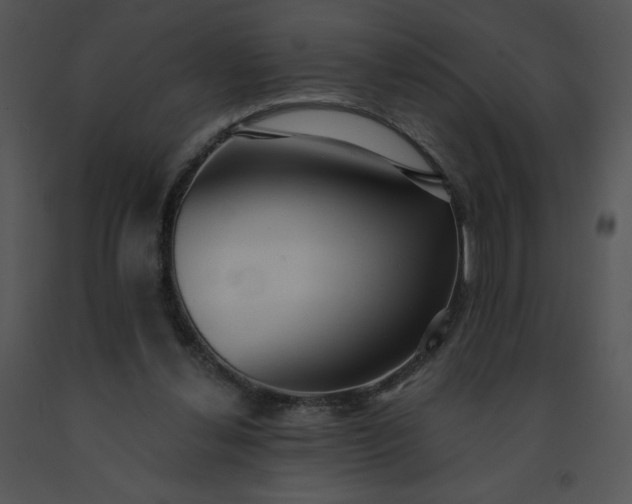 X0000091510252200708311233