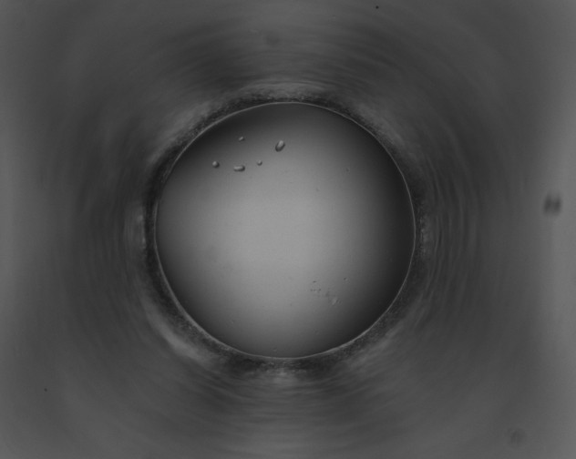 X0000091510254200708311233