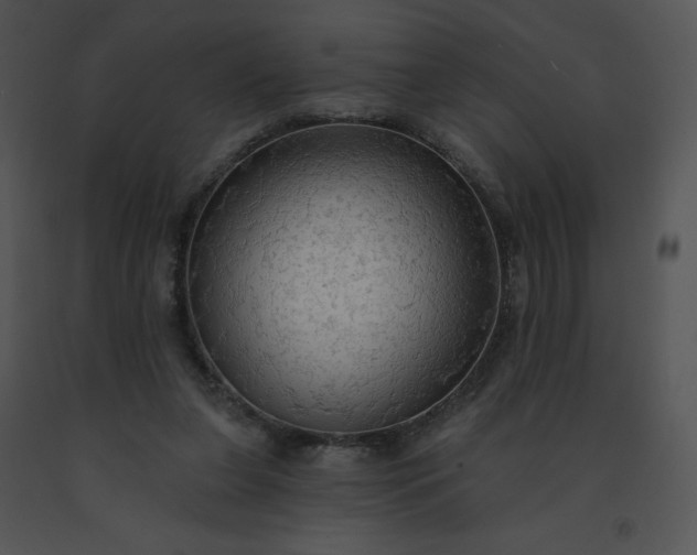 X0000091510255200708311233