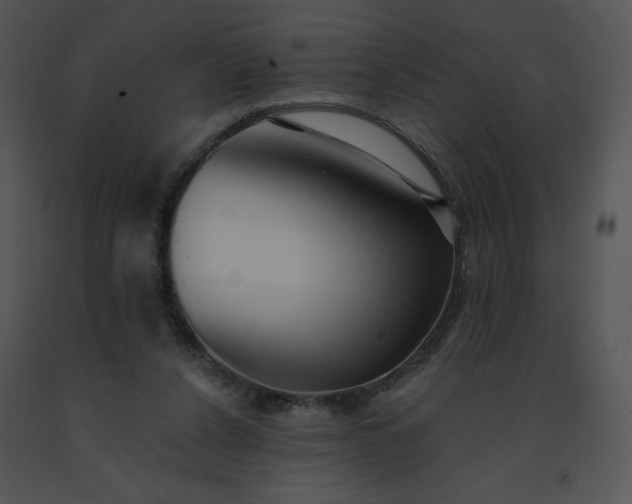 X0000091510256200708311233