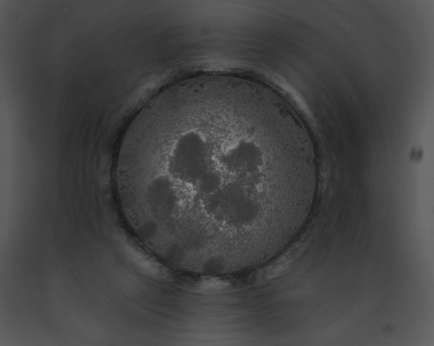 X0000091510257200708311233