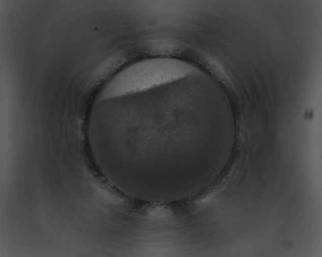 X0000091510258200708311233