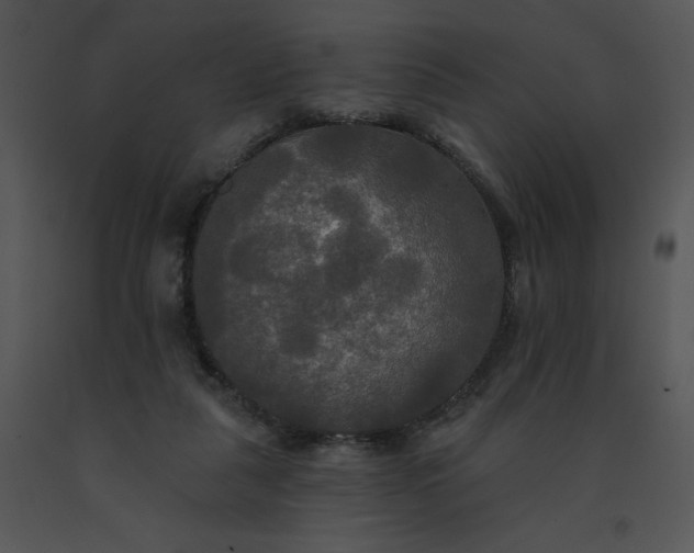 X0000091510259200708311233