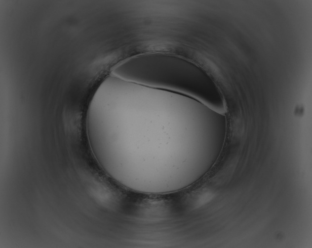 X0000091510260200708311233