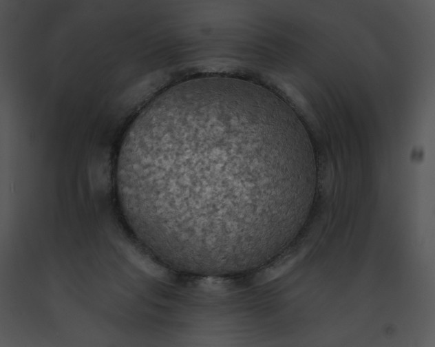 X0000091510261200708311233