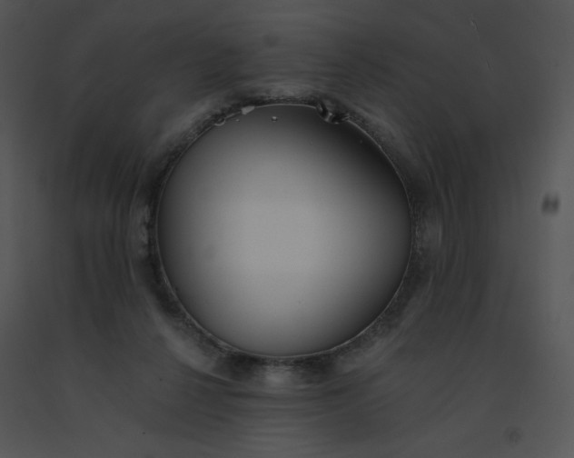 X0000091510264200708311233