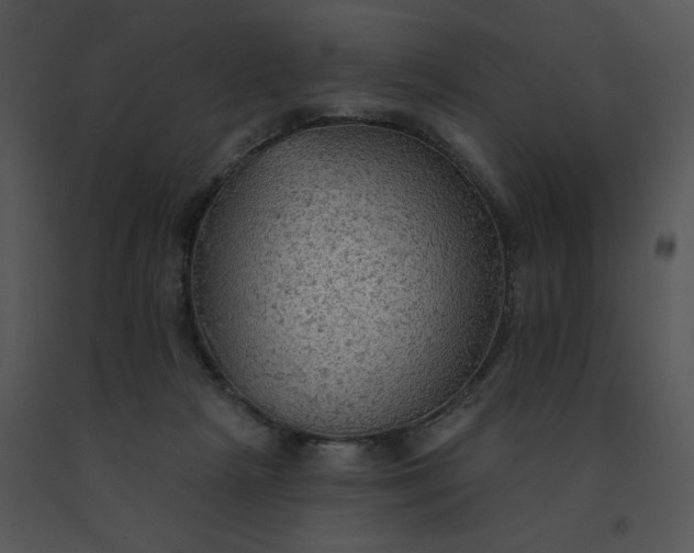 X0000091510265200708311233