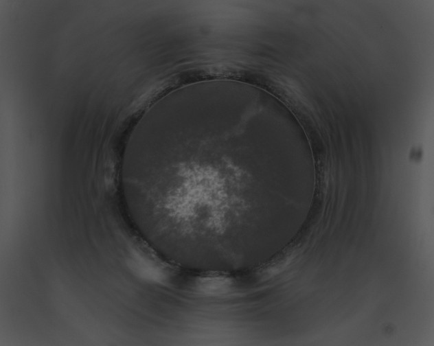 X0000091510266200708311233