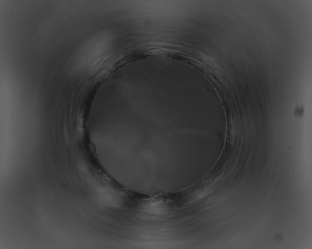 X0000091510267200708311233