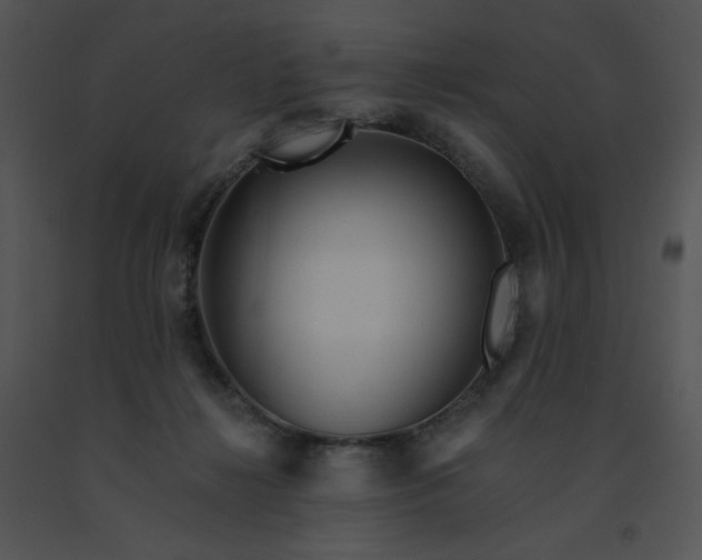 X0000091510268200708311233