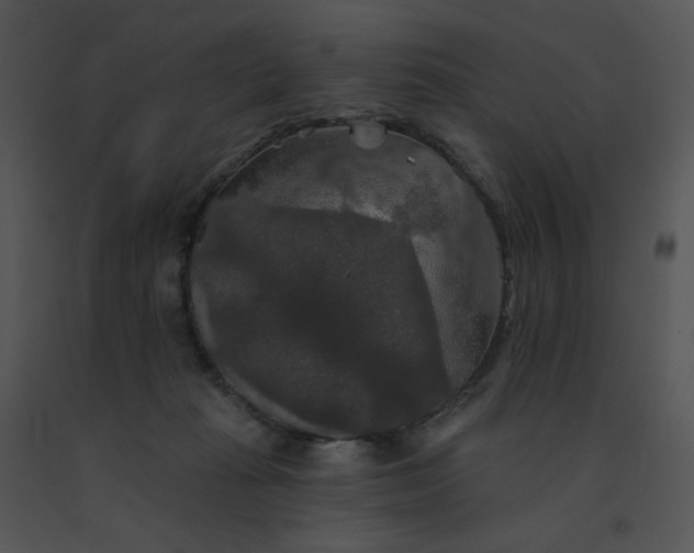 X0000091510269200708311233