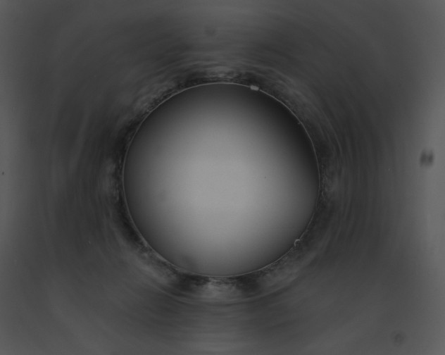 X0000091510270200708311233