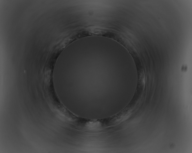 X0000091510271200708311233