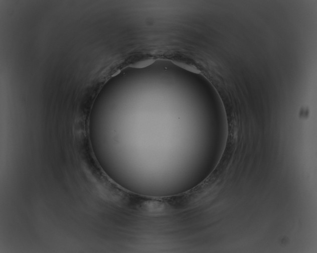 X0000091510272200708311233