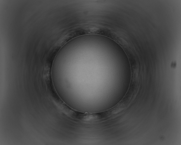 X0000091510274200708311233