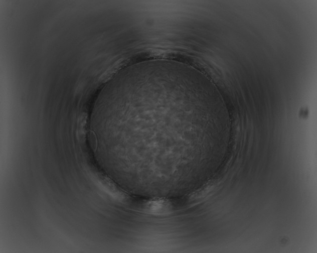 X0000091510275200708311233