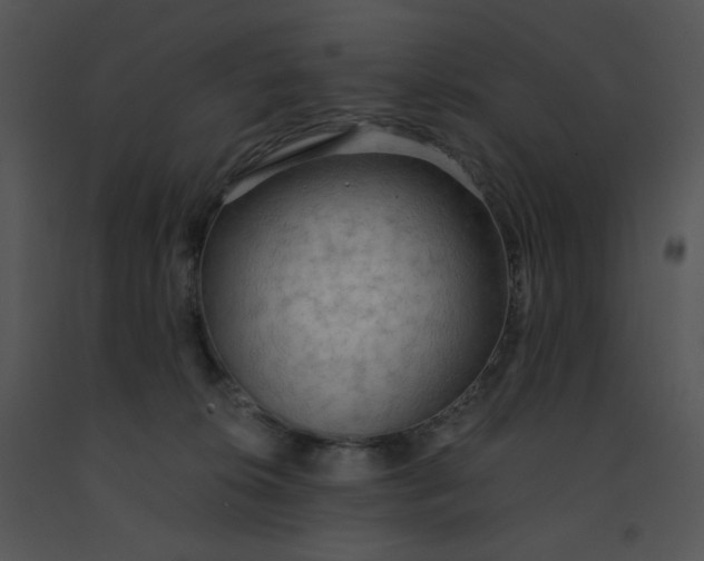 X0000091510276200708311233