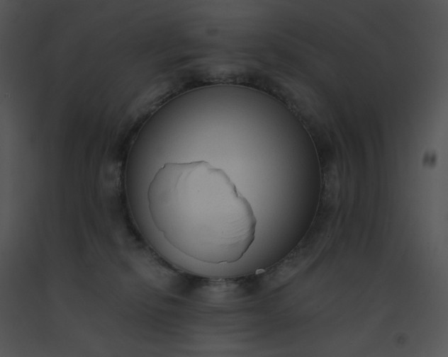 X0000091510278200708311233