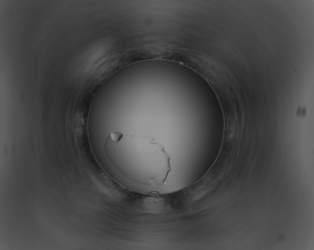 X0000091510279200708311233