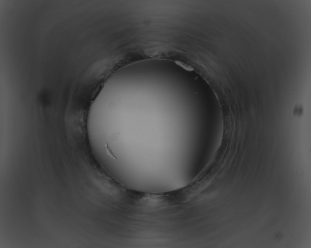 X0000091510280200708311233