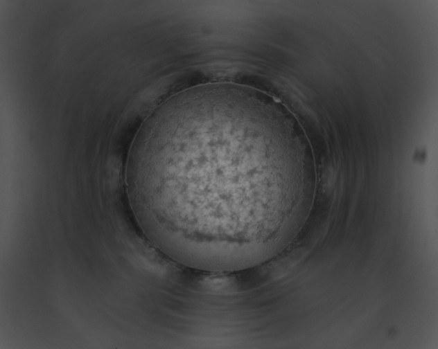 X0000091510283200708311233