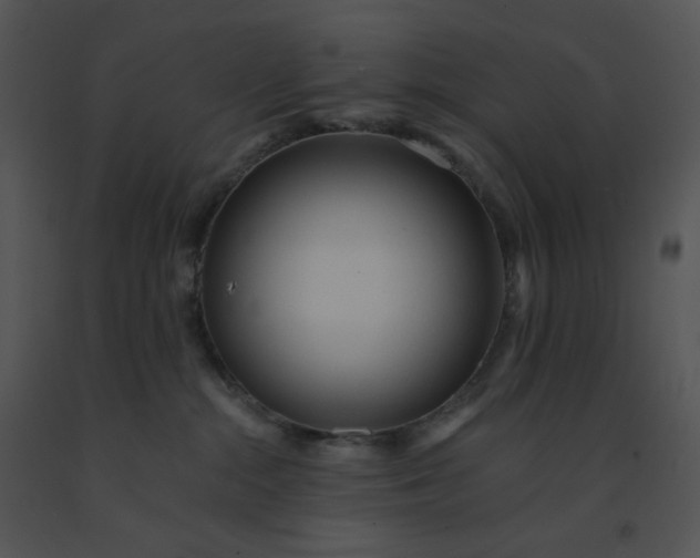 X0000091510284200708311233