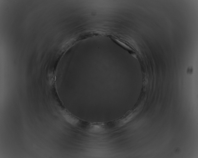 X0000091510285200708311233