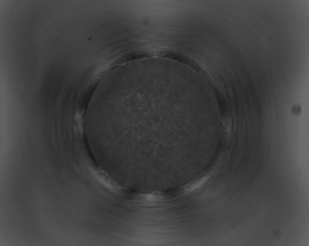 X0000091510286200708311234