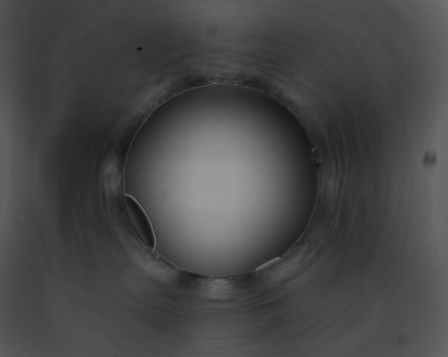 X0000091510287200708311234