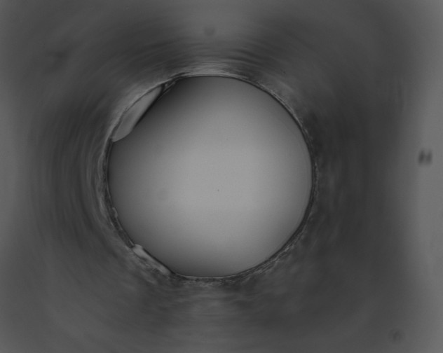 X0000091510289200708311233