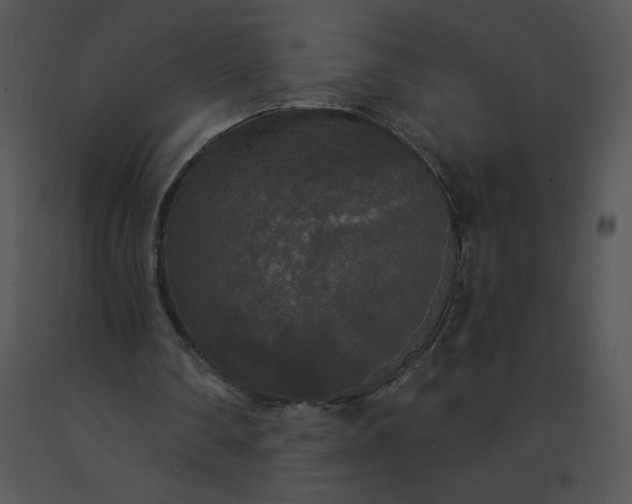 X0000091510290200708311233