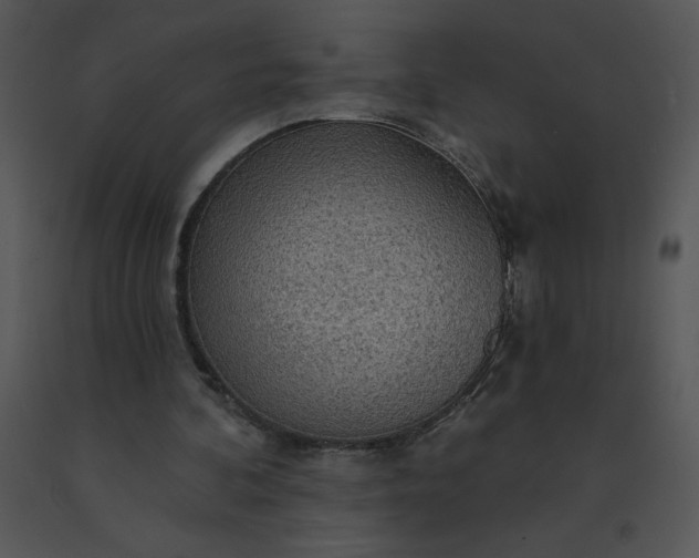 X0000091510292200708311233