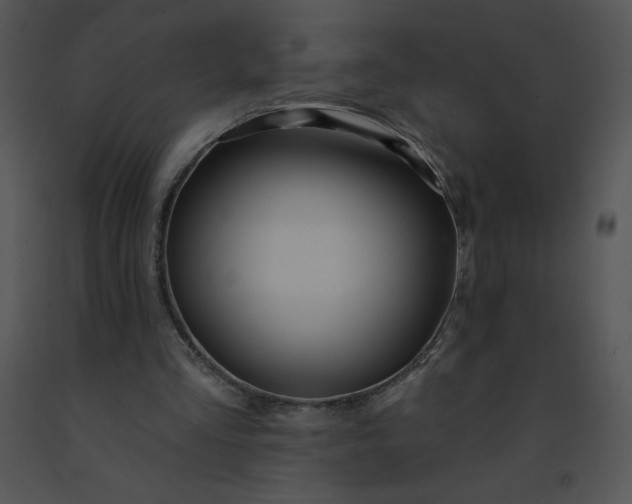 X0000091510293200708311233