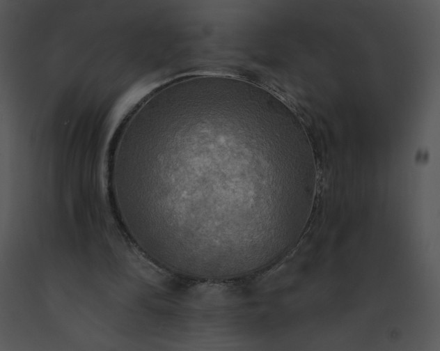 X0000091510294200708311233