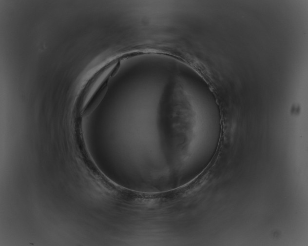 X0000091510295200708311233