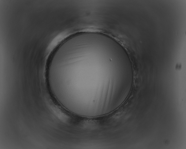 X0000091510296200708311233